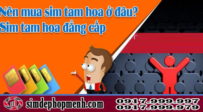mua sim tam hoa ở đâu
