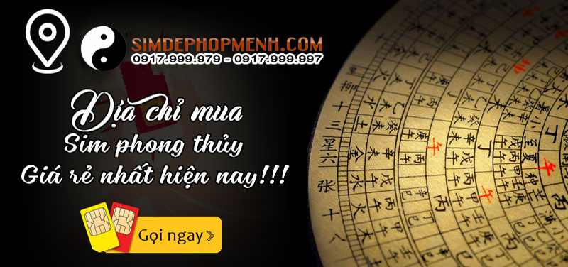 Sim phong thuỷ
