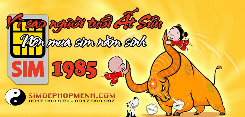 sim 1985