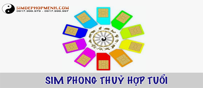 sim phong thuy